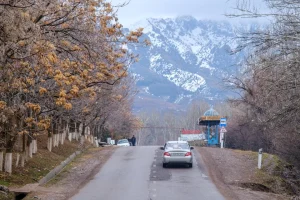 Toshkentda eng ko'p YTH, Buxoroda eng kam qayd etildi
