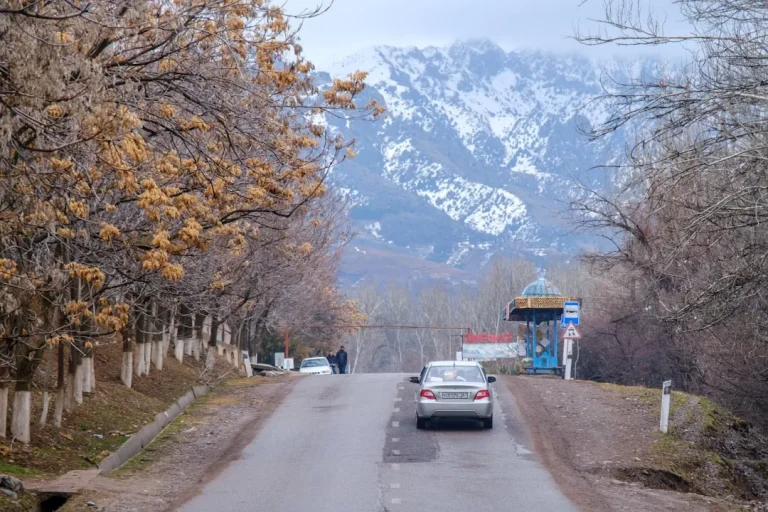 Toshkentda eng ko’p YTH, Buxoroda eng kam qayd etildi