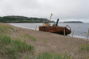 Daniyada vikinglar davriga oid katta xazina topildi