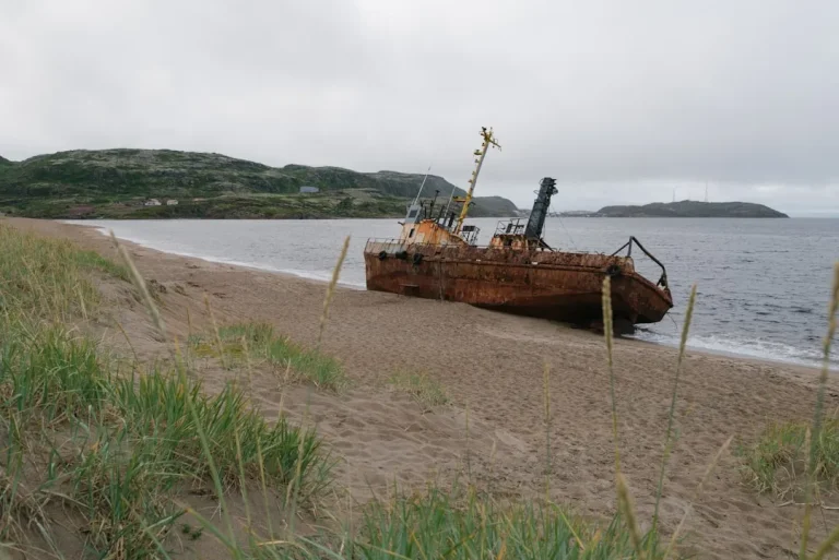 Daniyada vikinglar davriga oid katta xazina topildi