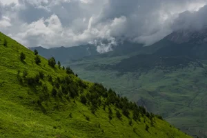 Kavkazdagi koʻchki qurbonlari Rosgvardiya harbiylari ekani ma'lum bo'ldi